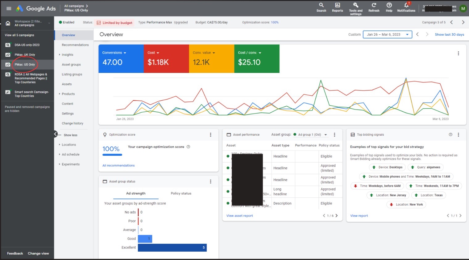 Google Performance Max campaign overview for a US store